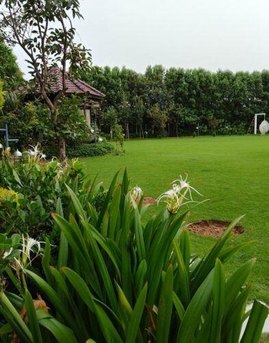 Landscape design and planning services in Delhi NCR by Rocks N' Garden