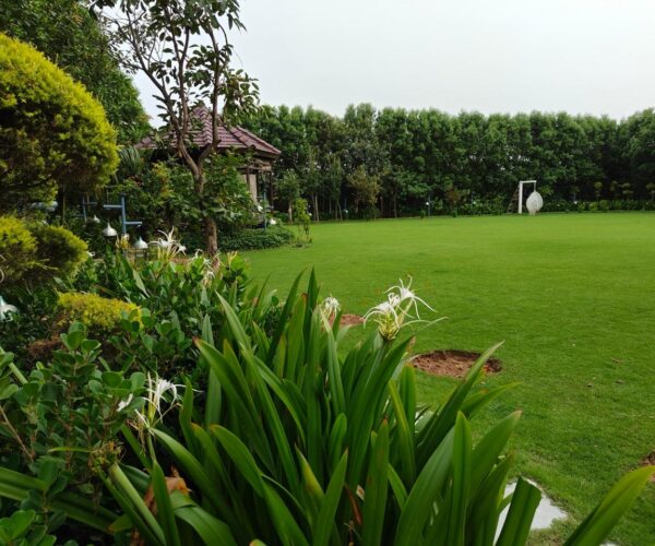 Landscape1